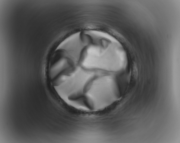 X0000088720730200706282103