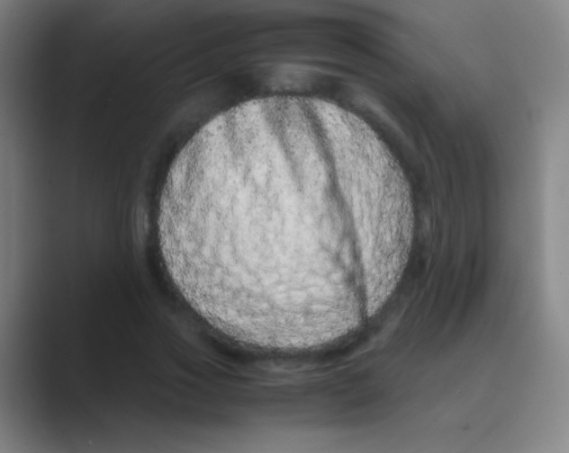 X0000088720733200706282103