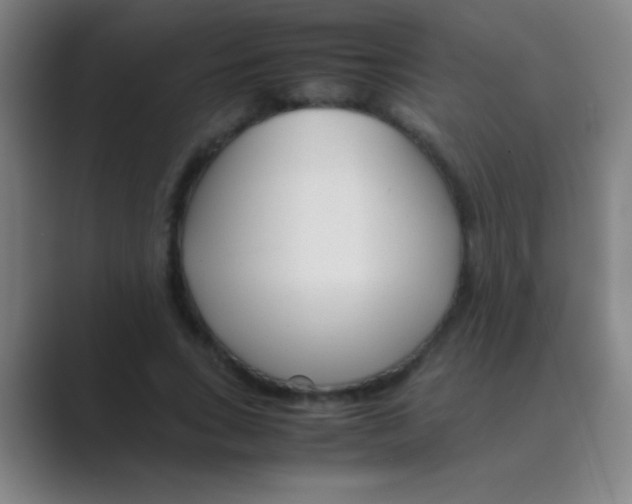 X0000088720735200706282103