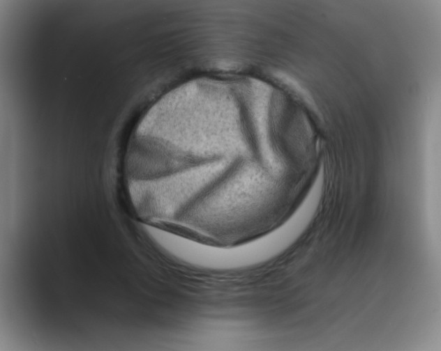 X0000088720736200706282103