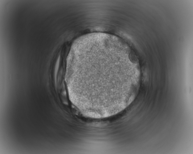 X0000088720738200706282103