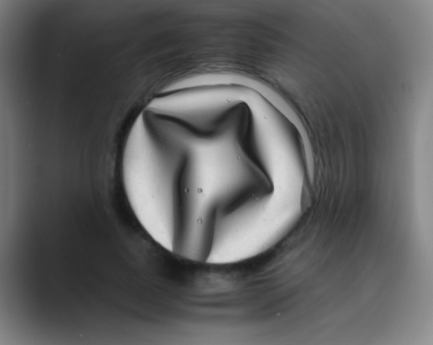 X0000088720739200706282103