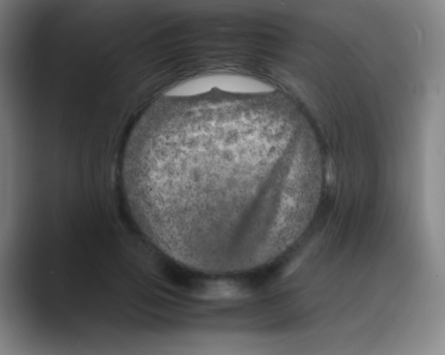 X0000088720741200706282103