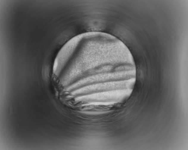 X0000088720742200706282103