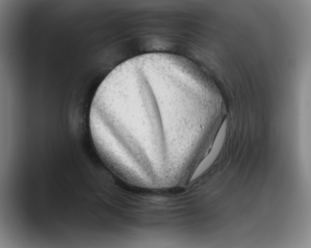 X0000088720743200706282103