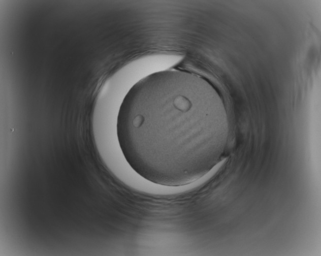 X0000088720744200706282103