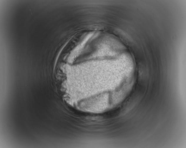 X0000088720745200706282103