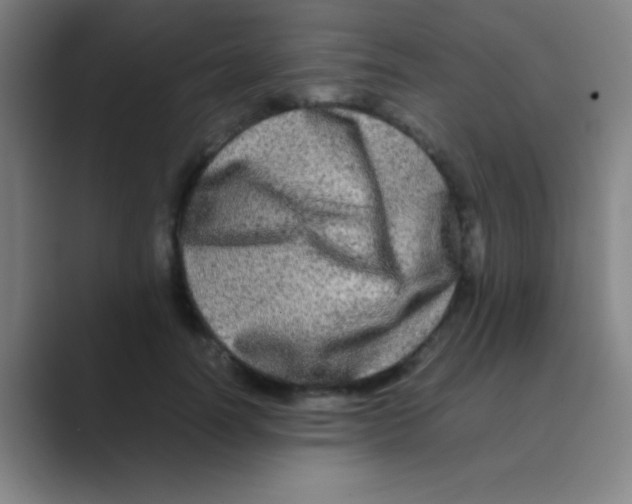 X0000088720746200706282103