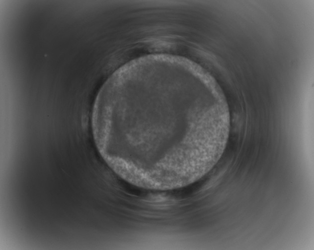 X0000088720753200706282103