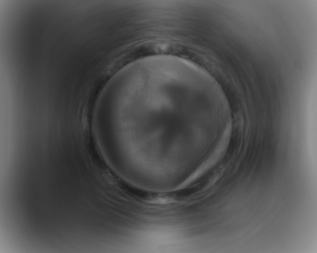 X0000088720754200706282103