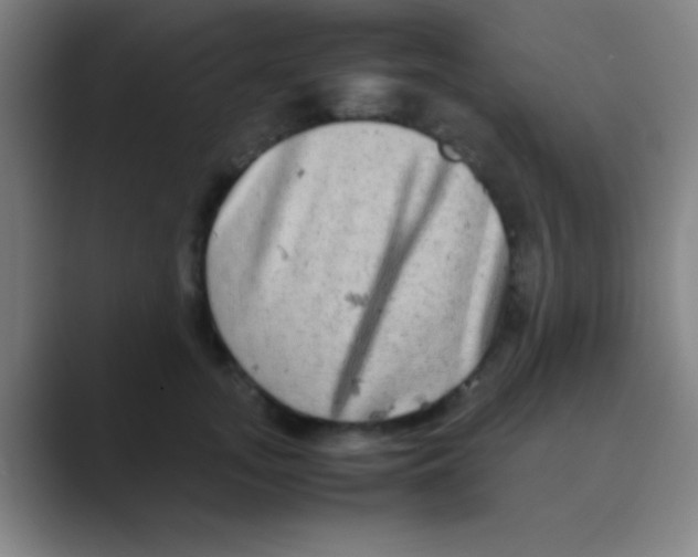 X0000088720755200706282103