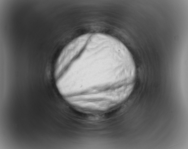 X0000088720757200706282103