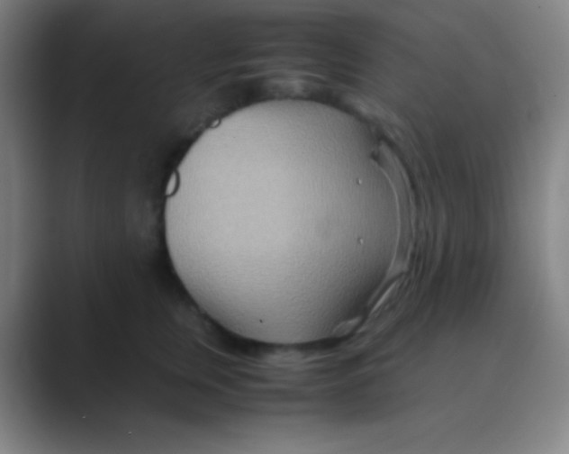 X0000088720759200706282103