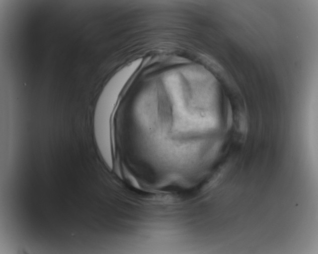 X0000088720762200706282103