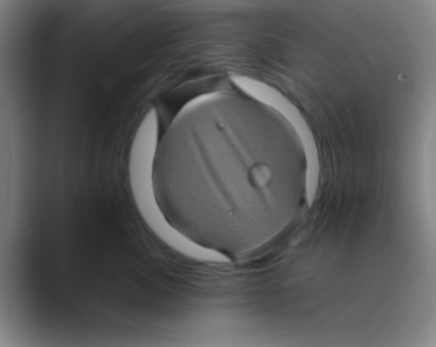 X0000088720764200706282103