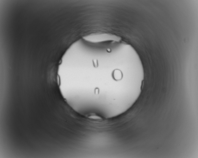 X0000088720768200706282103