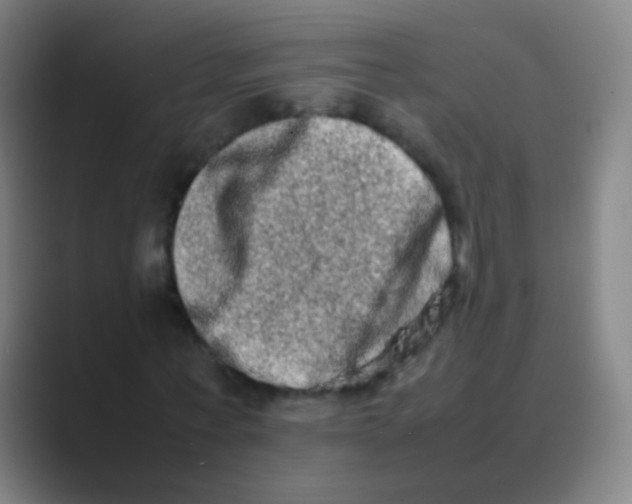 X0000088720771200706282103