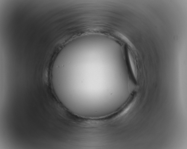 X0000088720777200706282103