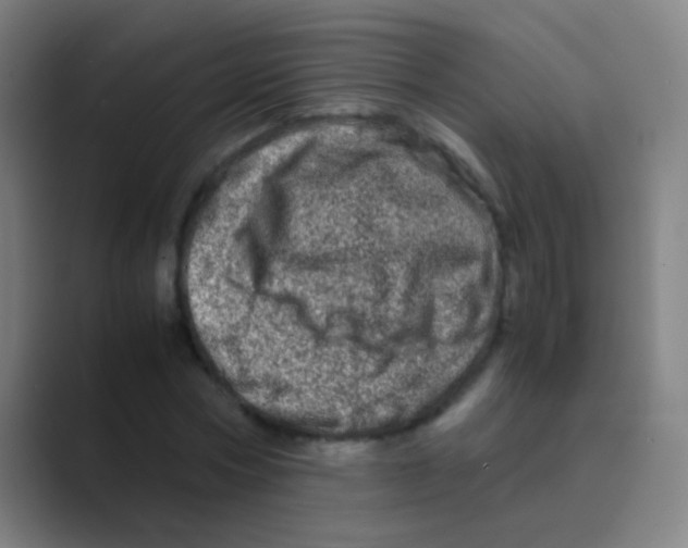 X0000088720778200706282103