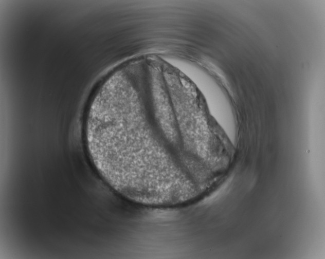 X0000088720779200706282103