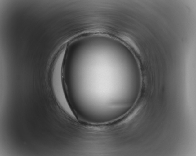 X0000088720781200706282103