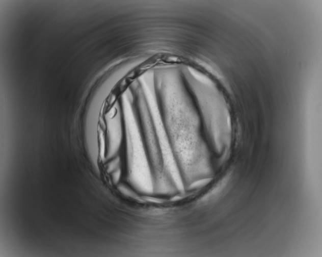 X0000088720782200706282103