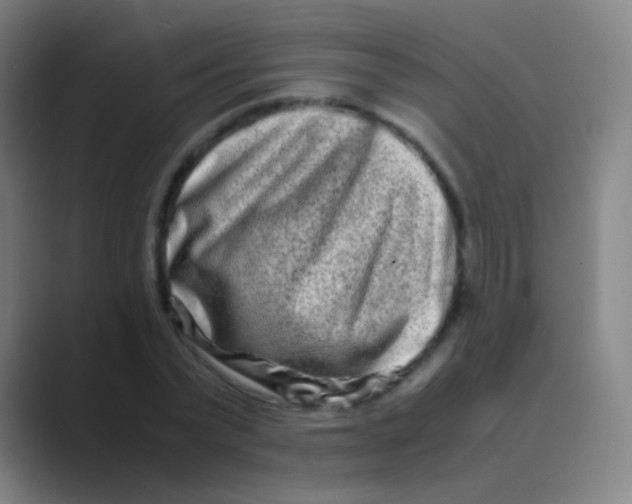 X0000088720783200706282103