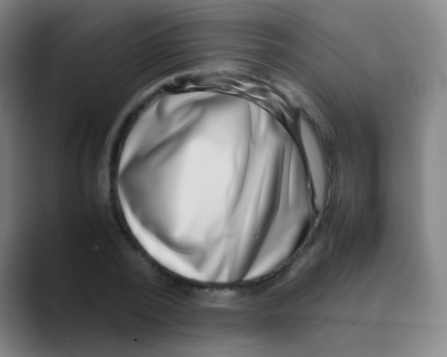 X0000088720784200706282103