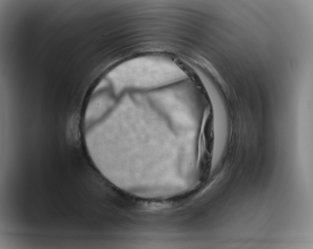 X0000088720786200706282103