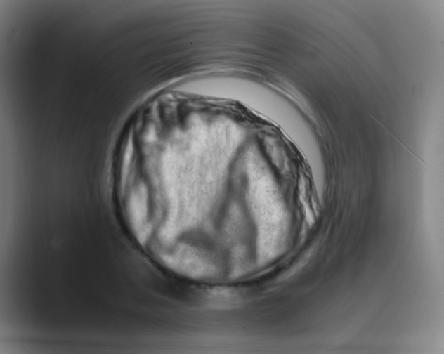 X0000088720787200706282103