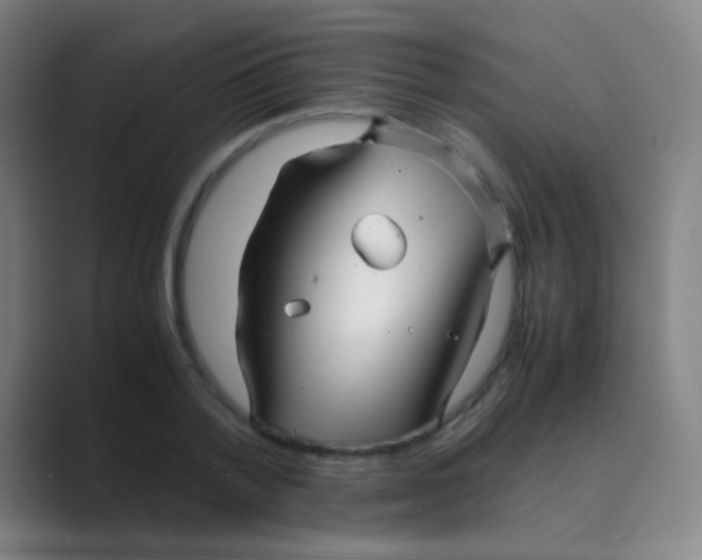 X0000088720788200706282103