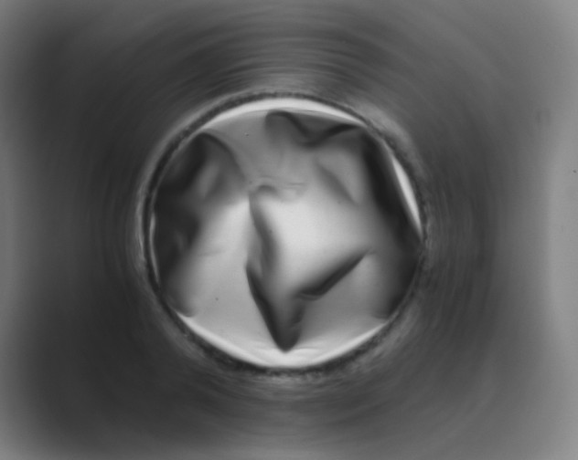 X0000088720792200706282103