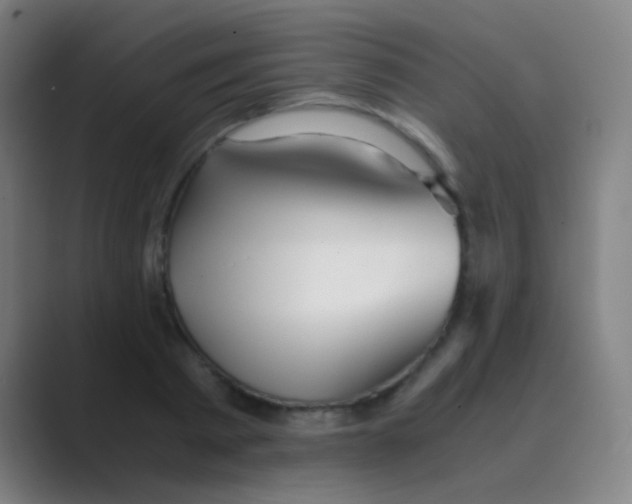 X0000088720793200706282103