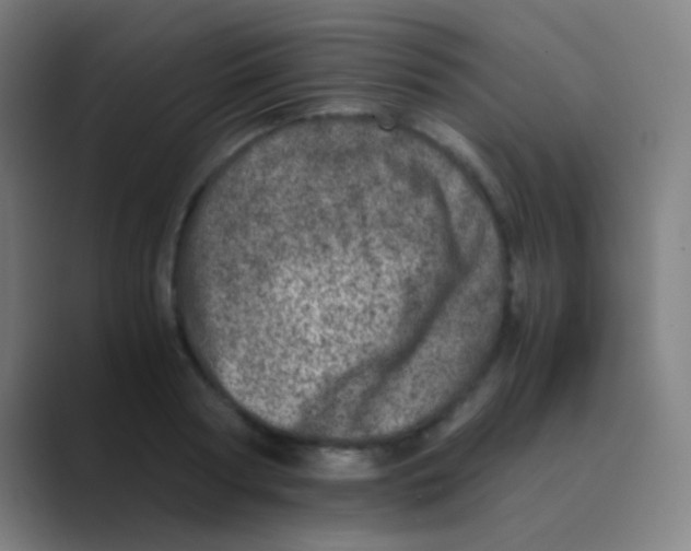 X0000088720794200706282102