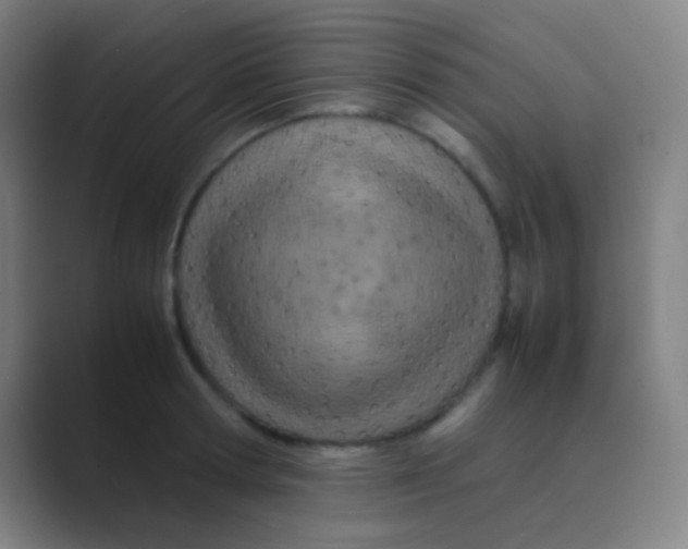 X0000088720802200706282102