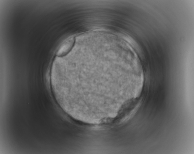 X0000088720814200706282102