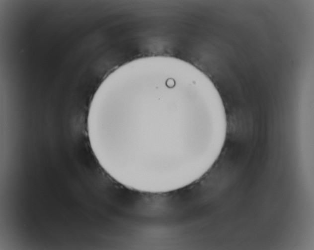 X0000088720820200706282101