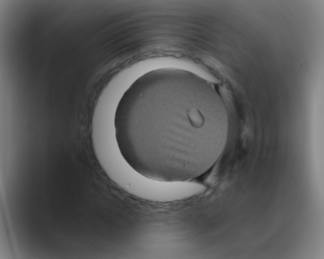 X0000088720822200706282101