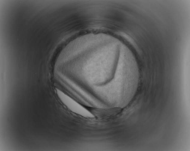 X0000088720823200706282102