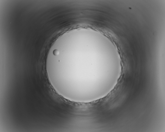 X0000088720824200706282102