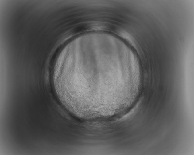 X0000088720827200706282102