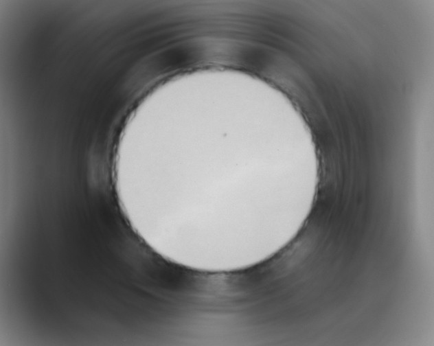 X0000088720828200706282102