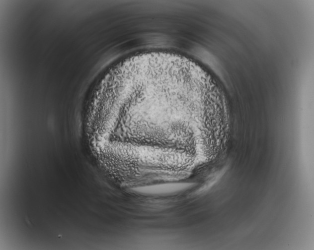 X0000088720829200706282102