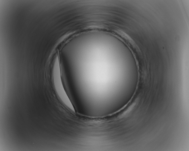 X0000088720830200706282102