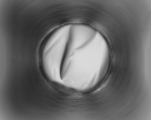 X0000088720835200706282102