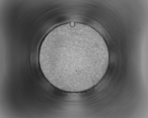 X0000088720836200706282102