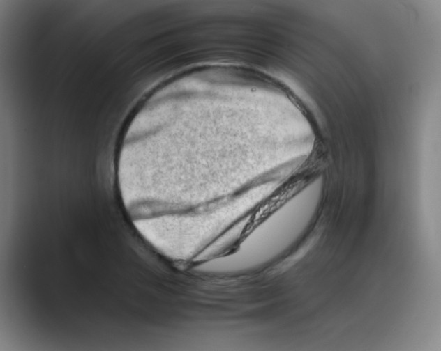 X0000088720837200706282102