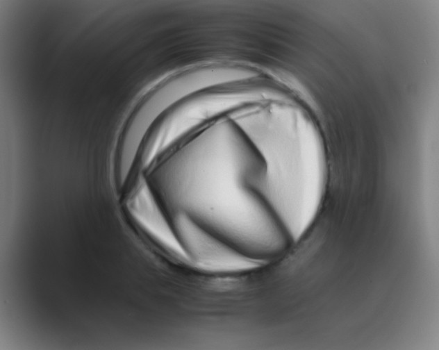 X0000088720839200706282102