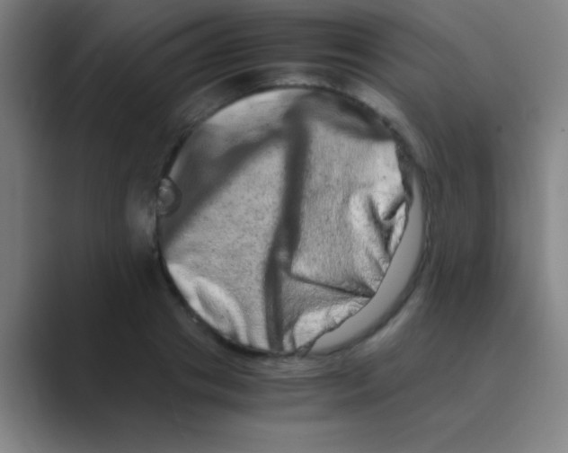 X0000088720841200706282102