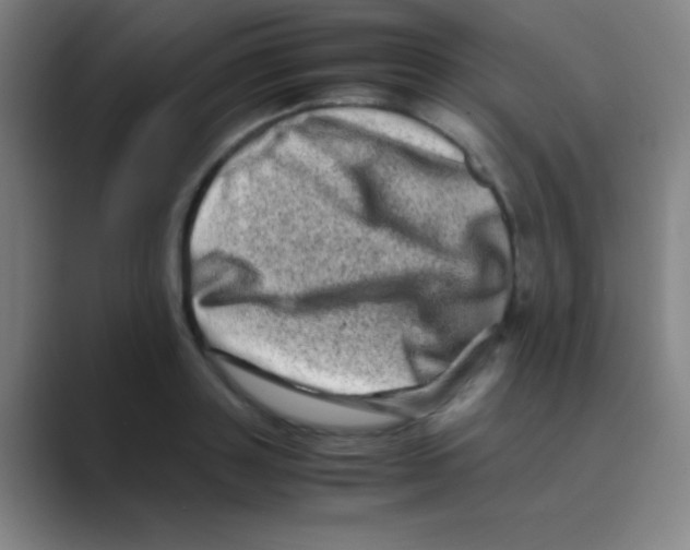 X0000088720843200706282102